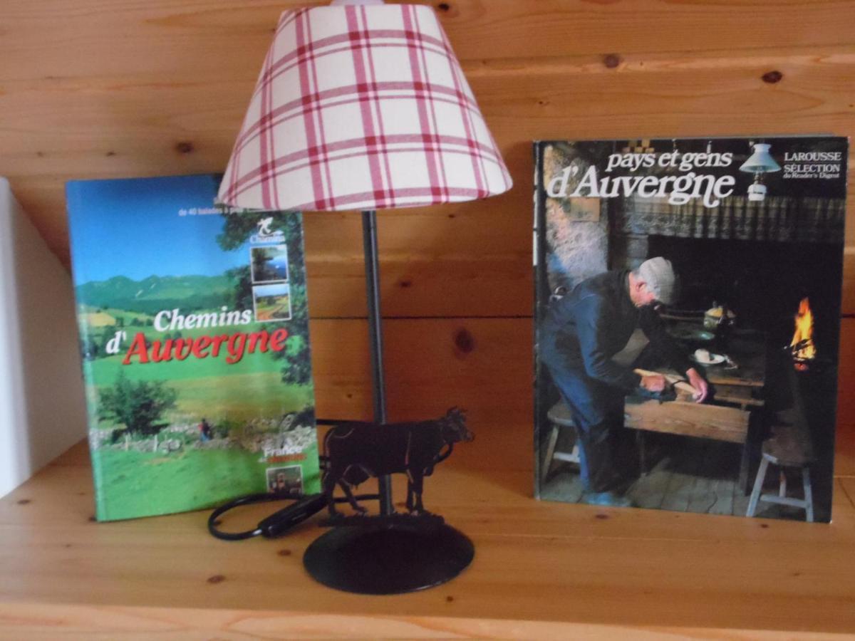Chalet Des Clarines Saint-Genès-Champespe Εξωτερικό φωτογραφία